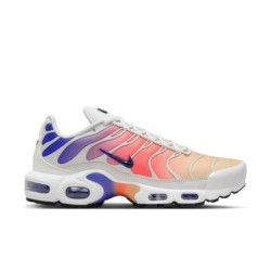 Nike Air Max Plus Santiago - Andes urbaines